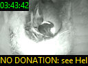 03:43:42