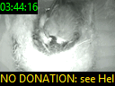 03:44:16