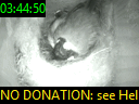 03:44:50