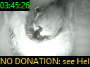 03:45:26