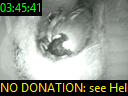 03:45:41