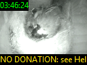 03:46:24
