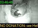 03:46:48
