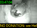 03:47:04