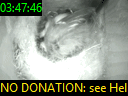 03:47:46