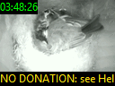 03:48:26