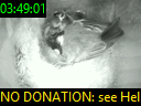 03:49:01