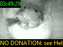03:49:29