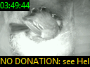 03:49:44