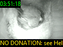 03:51:18