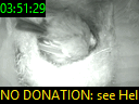 03:51:29
