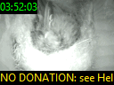 03:52:03