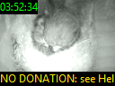 03:52:34