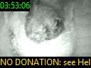 03:53:06