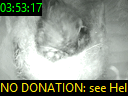 03:53:17
