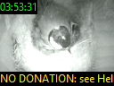 03:53:31