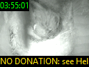 03:55:01