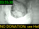 03:55:30