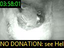 03:58:01