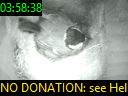 03:58:38