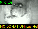 04:01:09