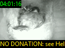 04:01:16