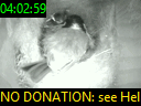 04:02:59
