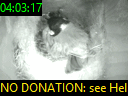 04:03:17