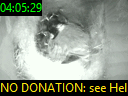 04:05:29