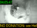 04:05:47