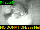 04:25:24