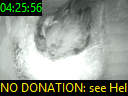 04:25:56