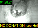 04:28:24