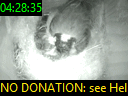 04:28:35
