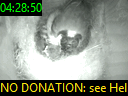 04:28:50