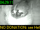 04:29:11