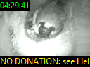 04:29:41