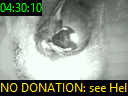 04:30:10