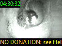 04:30:32