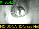 04:30:42