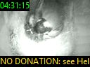 04:31:15