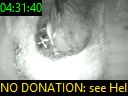 04:31:40