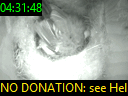 04:31:48