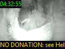 04:32:55
