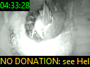 04:33:28