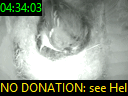 04:34:03