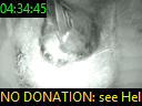 04:34:45