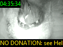 04:35:34
