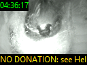 04:36:17