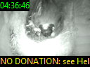 04:36:46